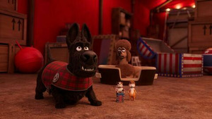 Vignette du programme télé Mystery Lane (Le piège de la pieuvre) S1 (7/26)