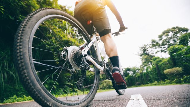 Vignette du programme télé Courses dames et messsieurs