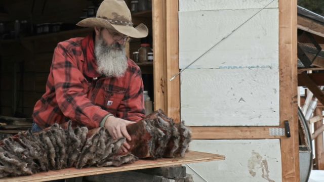 Vignette du programme télé Seuls face à l'Alaska - Saison 12