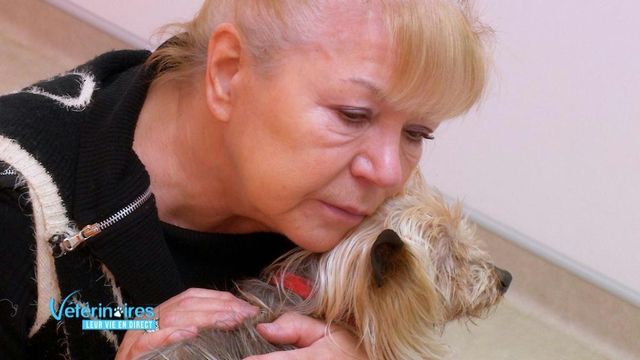 Vignette du programme télé Vétérinaires, leur vie en direct - Saison 2