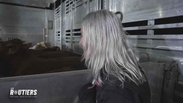 Vignette du programme télé Les routiers : profession chauffeur poids lourd - Saison 2