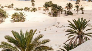 Vignette du programme télé Pays et marchés du monde (Tunisie : Douz) S4