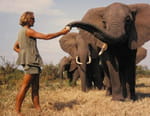 Vignette du programme télé Une vie parmi les éléphants