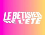 Vignette du programme télé Le bêtisier de l'été