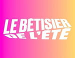 Vignette du programme télé Le bêtisier de l'été