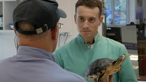 Vignette du programme télé Sur le front