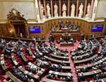 Vignette du programme télé 100% Sénat