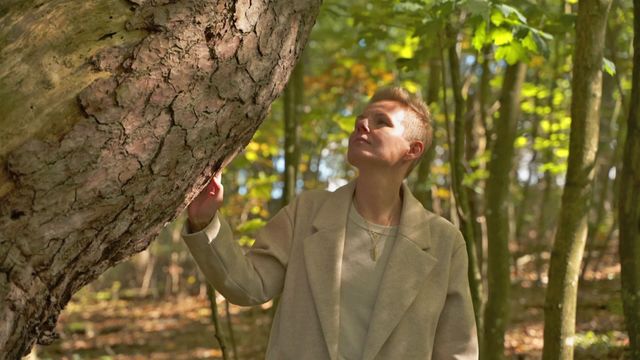 Vignette du programme télé Un village allemand face à son passé nazi