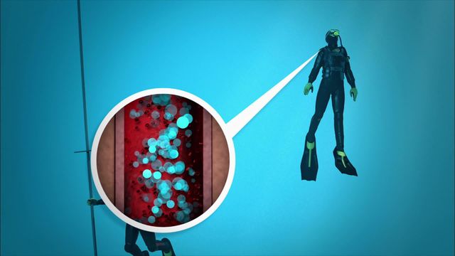 Vignette du programme télé Le mystère d'Oak Island - Saison 2