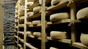 Vignette du programme télé Tous fondus de cuisine savoyarde !