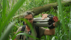 Vignette du programme télé France 2100, le pourquoi du comment