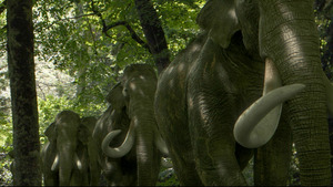 Vignette du programme télé Dans les pas du mammouth géant