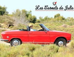 Vignette du programme télé Les carnets de Julie