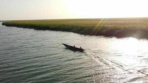 Vignette du programme télé Au bout c'est la mer (Le fleuve Sénégal) S4 (2/5)