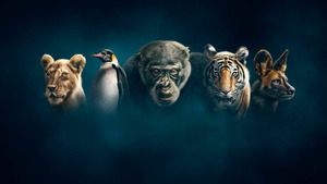 Vignette du programme télé Dynasties (Une héritière rebelle) S1 (4/6)