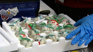 Vignette du programme télé Douanes sous haute surveillance S8 (n°20)