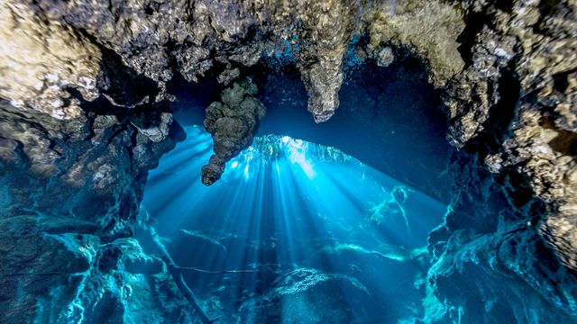 Vignette du programme télé A la découverte des Caraïbes