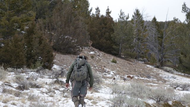 Vignette du programme télé Seuls face à l'Alaska - Saison 10