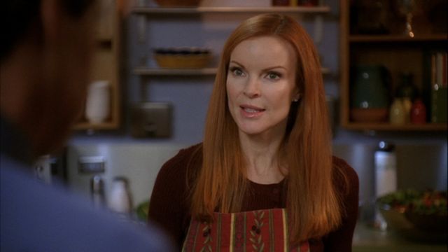 Vignette du programme télé Desperate Housewives - Saison 5