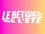 Vignette du programme télé Le bêtisier de l'été