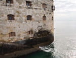 Vignette du programme télé Les secrets de Fort Boyard