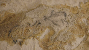 Vignette du programme télé Grotte Cosquer, Homo sapiens et la mer