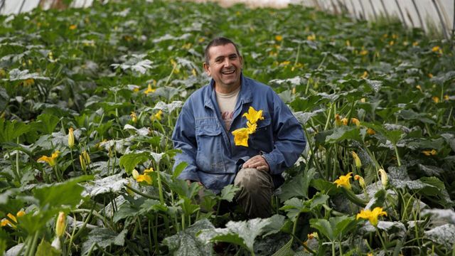 Vignette du programme télé L'amour est dans le pré - Saison 21