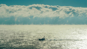 Vignette du programme télé Les expériences scientifiques de CTPS
