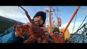 Vignette du programme télé Thalassa, aventures extrêmes (Patagonie, sur la route des baleines) S2