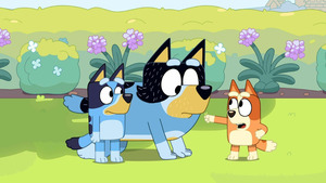 Vignette du programme télé Bluey (Le chien de berger) S3 (11/50)