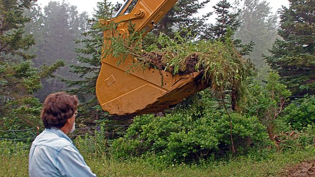 Vignette du programme télé Le mystère d'Oak Island - Saison 3