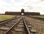 Vignette du programme télé Auschwitz, la machine de mort nazie