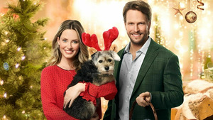 Vignette du programme télé Le Noël de Sophie