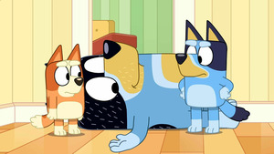 Vignette du programme télé Bluey (La poupée de chiffon) S3 (24/50)