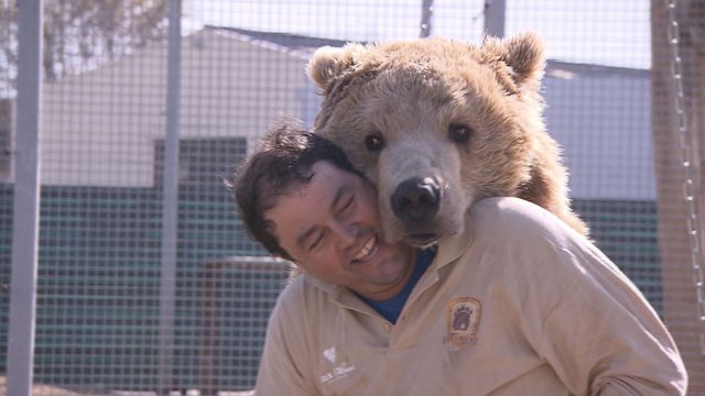 Vignette du programme télé La Tanière, le zoo-refuge de l'espoir - Saison 2