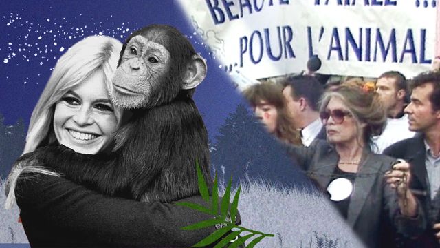 Vignette du programme télé Brigitte Bardot, le serment fait aux animaux