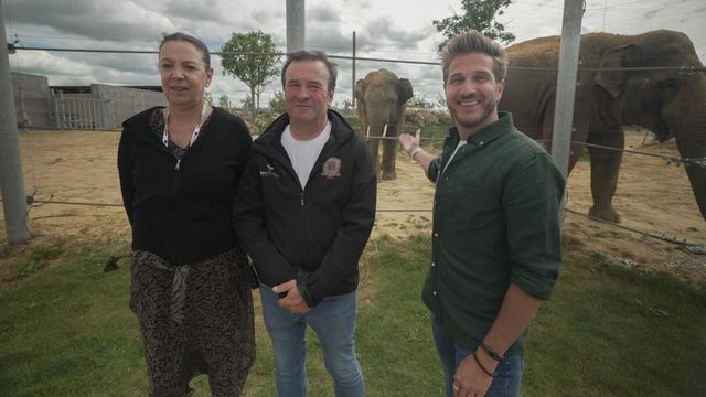 Vignette du programme télé La Tanière, le zoo-refuge de l'espoir - Saison 2