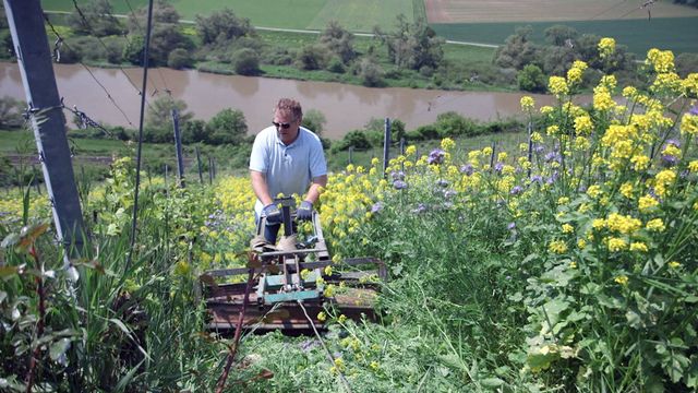 Vignette du programme télé Des vignes et des hommes - Saison 2