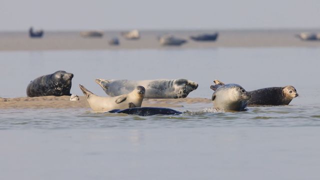 Vignette du programme télé La France côté Nord