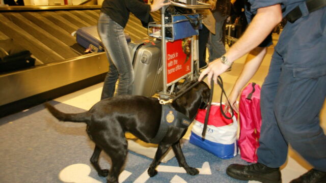 Vignette du programme télé Douanes sous haute surveillance