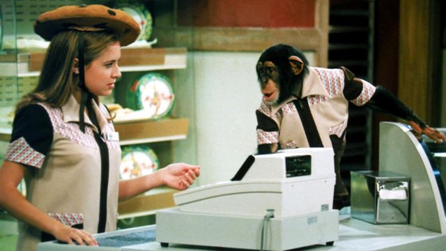 Vignette du programme télé Notre belle famille - Saison 5