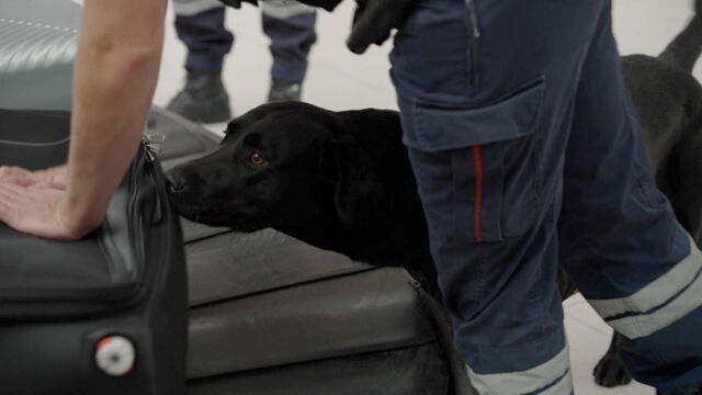 Vignette du programme télé Paris CDG : le plus grand aéroport d'Europe