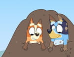 Vignette du programme télé Bluey