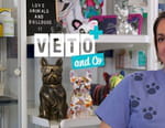 Vignette du programme télé Véto & Co