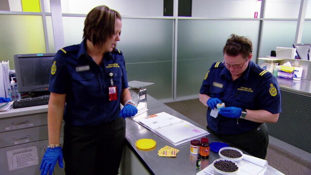 Vignette du programme télé Douanes sous haute surveillance