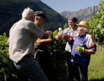 Vignette du programme télé La vallée d'Aoste en Italie : Une vie à l'ombre des Alpes