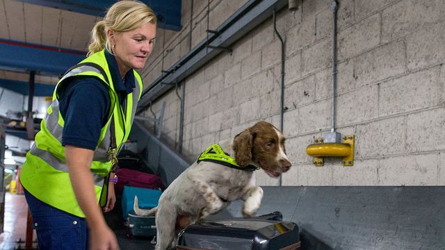 Vignette du programme télé Douanes sous haute surveillance - Saison 6