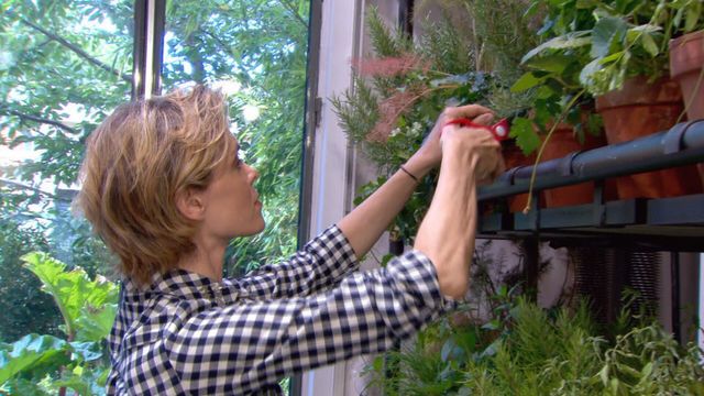 Vignette du programme télé Les carnets de Julie