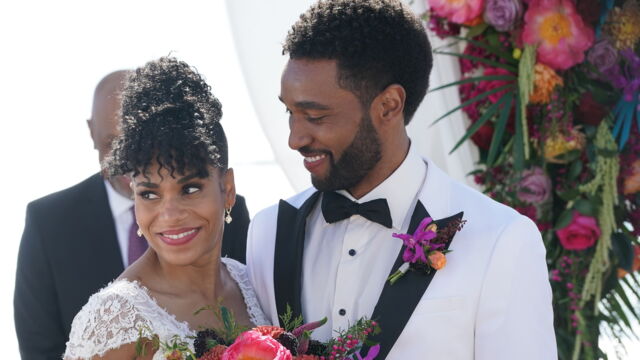 Vignette du programme télé Grey's Anatomy