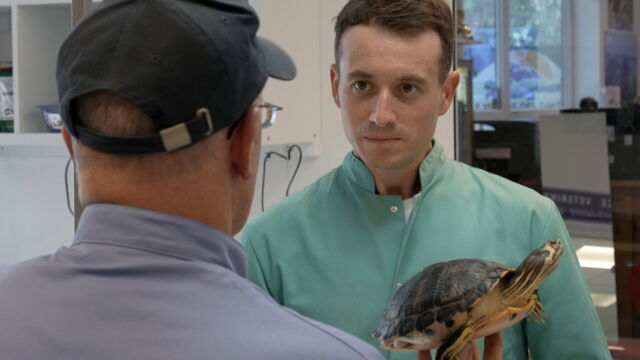 Vignette du programme télé Sur le front